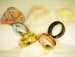 珠寶飾品行業情人節專場秀 璀璨獻禮，展示產品贏豐厚獎勵